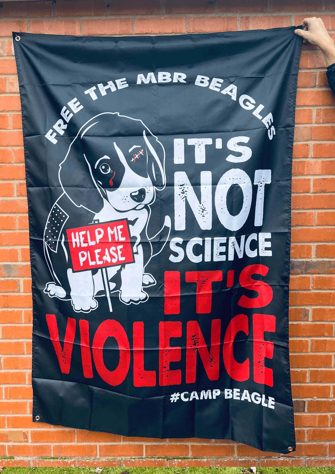 camp beagle banner / flag