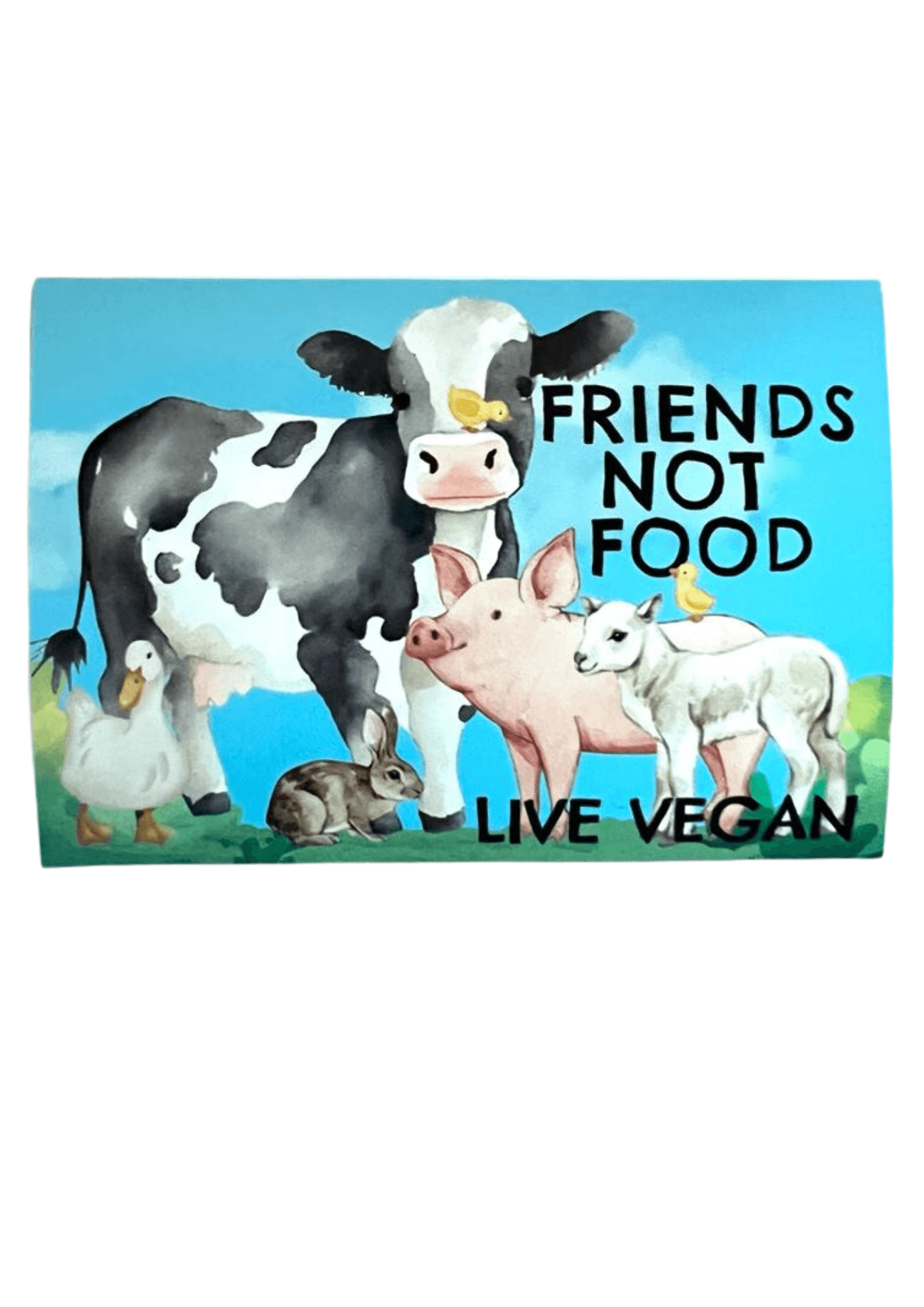 Friends NOT Food Window Cling